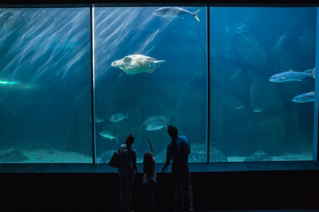 Familia feliz mirando el tanque de peces