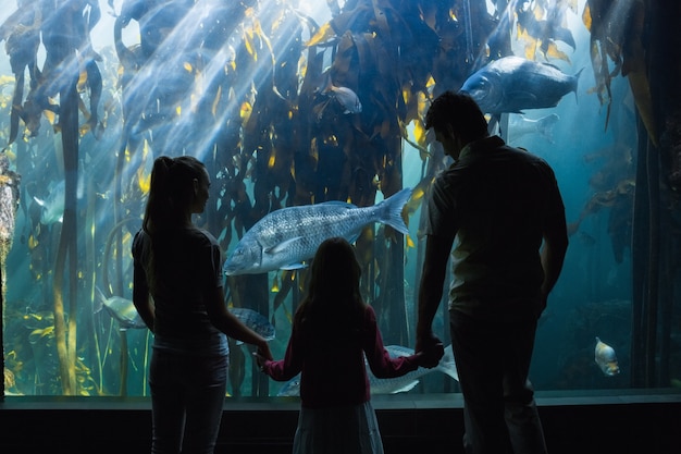 Familia feliz mirando el tanque de peces