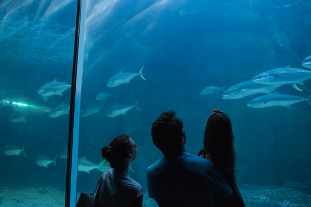 Familia feliz mirando el tanque de peces