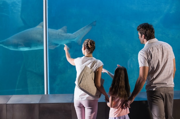 Familia feliz mirando tiburón