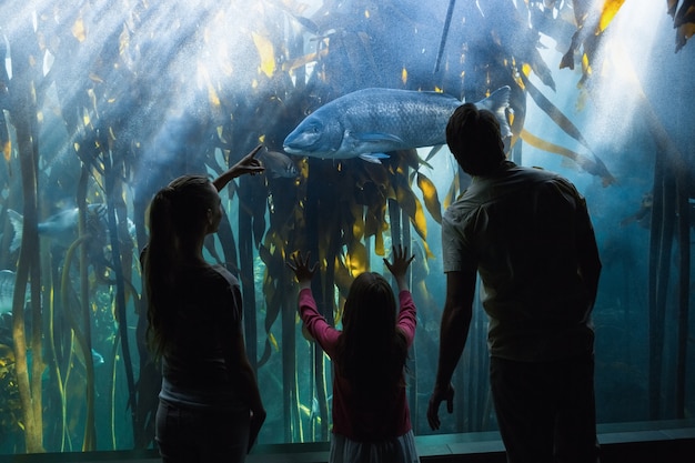 Família feliz olhando o tanque de peixes