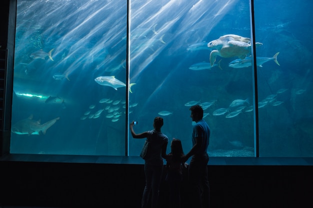 Família feliz olhando para aquário no aquário