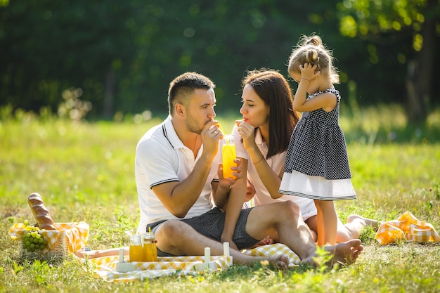 Familia feliz de picnic