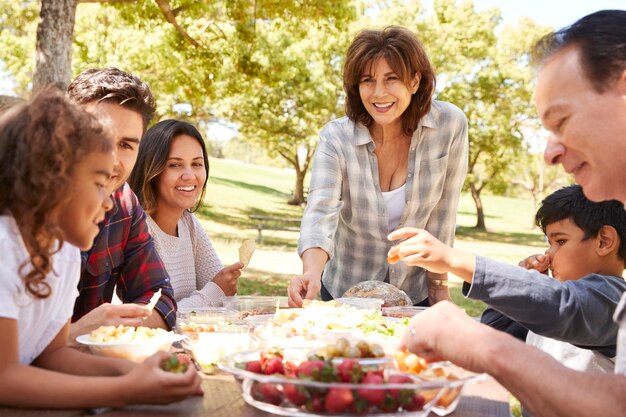 Familia feliz de varias generaciones haciendo un picnic en un parque