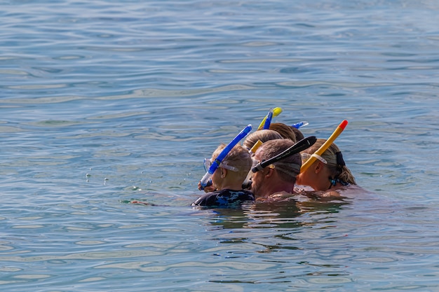 Una familia hace snorkel juntos