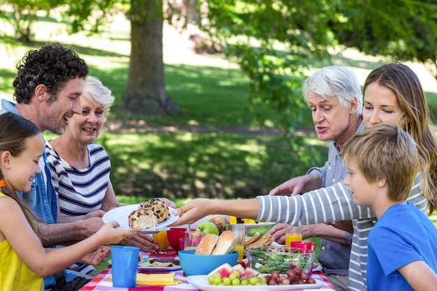 Familia haciendo un picnic