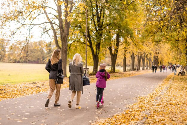 família, infância, temporada e conceito de pessoas - família feliz brincando com folhas de outono no parque