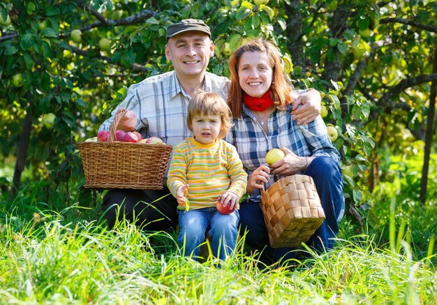 Familia en el jardín cosechar manzanas