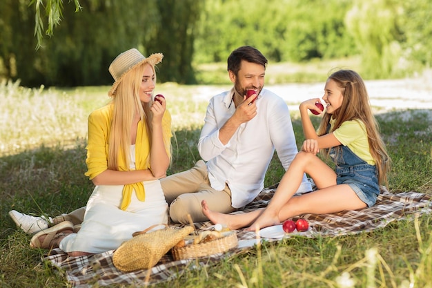 Familia joven disfrutando de un picnic de verano en el campo