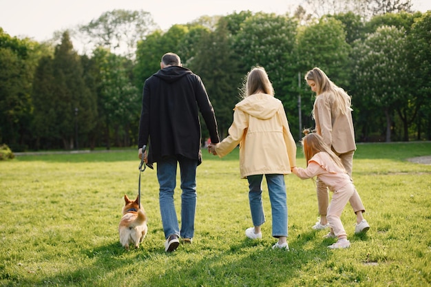 Familia joven y su perro corgi caminando juntos en un parque