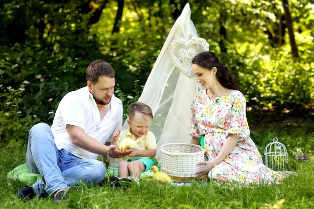 Família linda feliz com sua mãe grávida ao ar livre no verão do parque