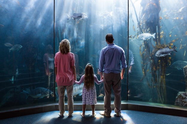 Familia mirando el tanque de peces