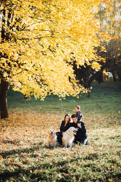 Familia con un niño y dos golden retrievers en un parque de otoño