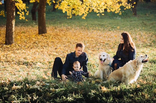 Familia con un niño y dos golden retrievers en un parque de otoño