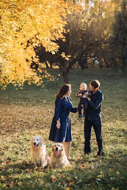 Familia con un niño y dos golden retrievers en un parque de otoño