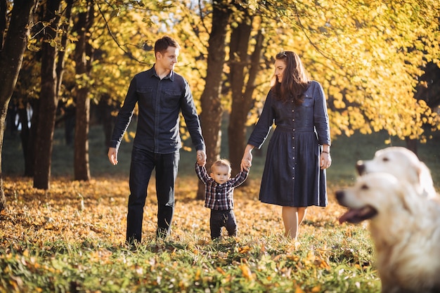 Familia con un niño y dos golden retrievers en un parque de otoño