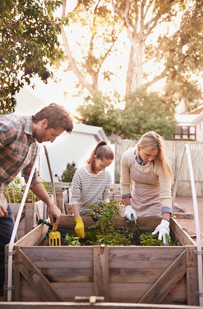 Familia orgánica Toma de una familia haciendo jardinería juntos en su patio trasero