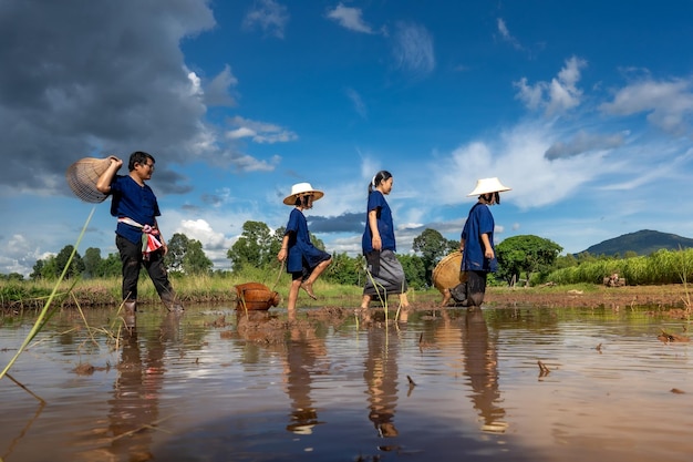 Familia de personas que encuentran pescado en la herramienta tradicional para pescar en el campo de arroz de las zonas rurales