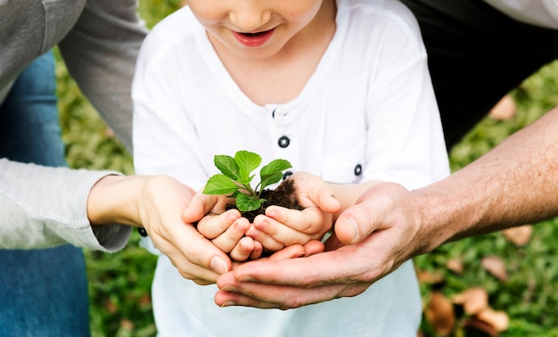 Família plantando uma árvore juntos