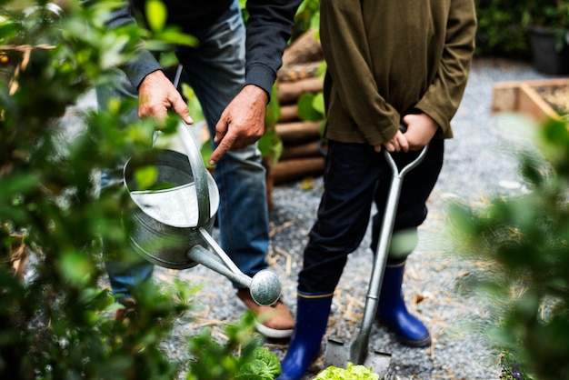 Família, plantar, vegetal, de, quintal, jardim