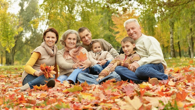 Família relaxante no parque outono