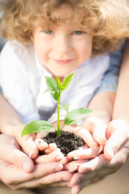 Família segurando a planta verde jovem nas mãos Conceito de ecologia