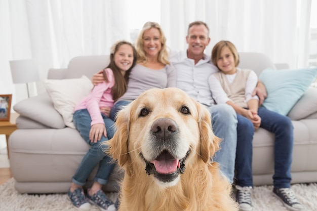 Família sentada no sofá com golden retriever em primeiro plano