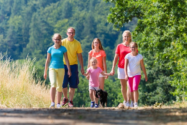 Família, tendo, passeio, caminho, madeiras