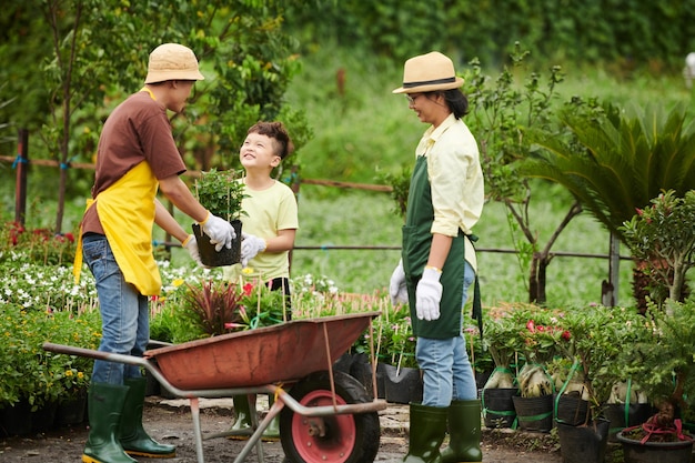 Família trabalhando na loja de plantas ao ar livre