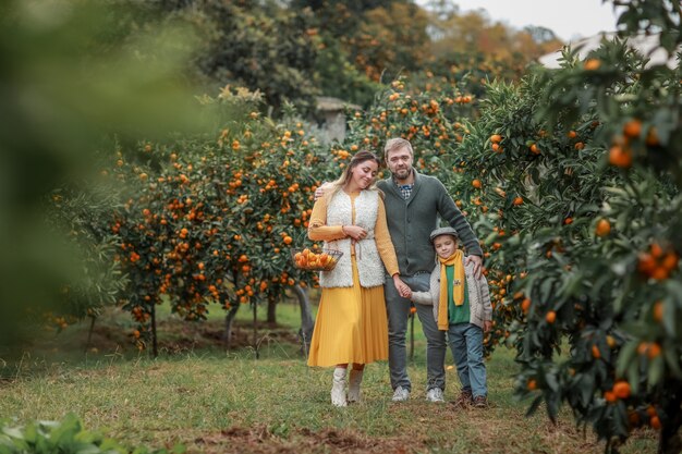 Familia de tres en un jardín con cosecha de árboles de mandarina