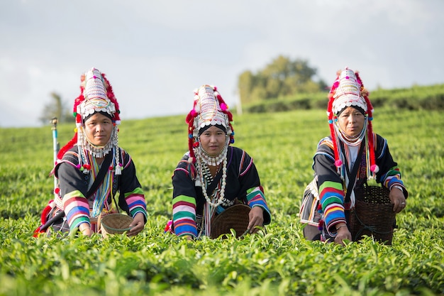 Familie Akha-Stammeskleid in Teeplantage.