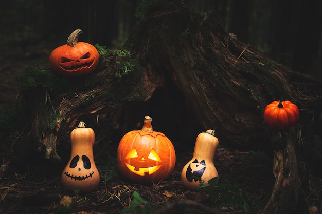 Familie der Kürbislaterne im mystischen Herbstwald. Humor. Halloween-Hintergrund.