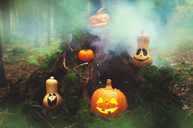 Familie der Kürbislaterne im mystischen Herbstwald. Humor. Halloween-Hintergrund.