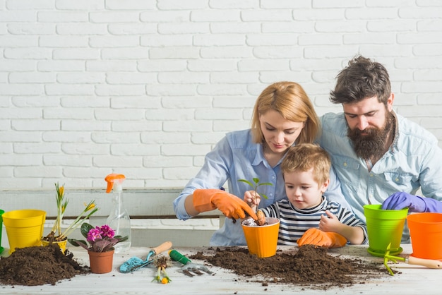 Familie, die gartenarbeit pflanzt familie, die blumen pflanzt, sohn hilft mutter, sich um pflanzen im garten zu kümmern