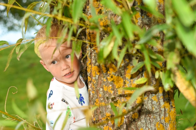 Familie, die im Park am Sommerabend stillsteht