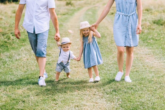 familie mit zwei kindern, die hände halten und auf sommerfeldern spazieren gehen