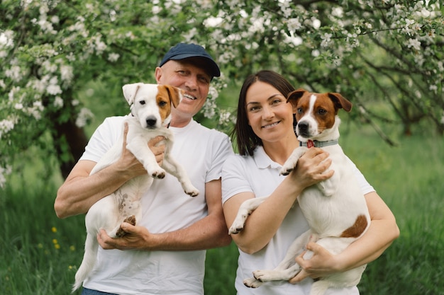 Familie spielt Jack Russell Terrier Hund auf der Wiese. Familie umarmt Jack Russell Terrier Hund in der Natur.