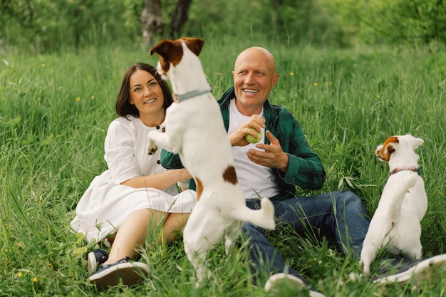 Familie spielt Jack Russell Terrier Hund auf der Wiese. Familie umarmt Jack Russell Terrier Hund in der Natur.