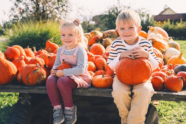 Familie und Kinder in der Herbstsaison Kinder im Vorschulalter sitzen in einem Haufen Kürbisse auf dem lokalen Bauernmarkt