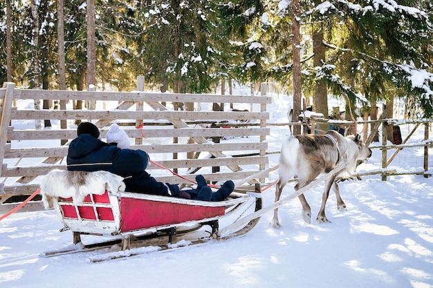 Familie während Rentierschlittenfahrt im Winter Rovaniemi, Lappland, Finnland