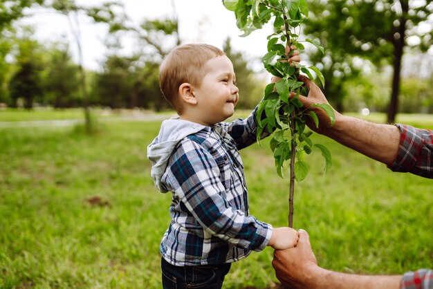 Familienbaum pflanzen Kleiner Junge hilft seinem Großvater, Baum zu pflanzen Spaß kleiner Gärtner