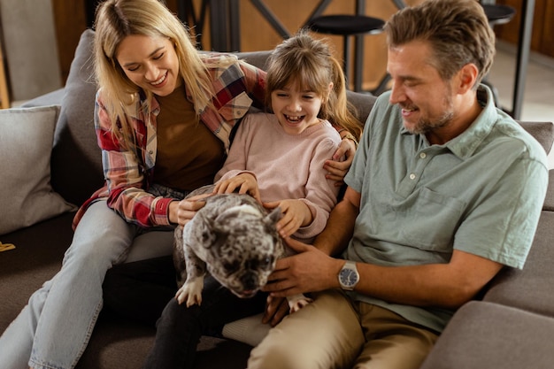 Familienbündniszeit mit einem spielerischen französischen Bulldoggenwelpe im gemütlichen Wohnzimmer