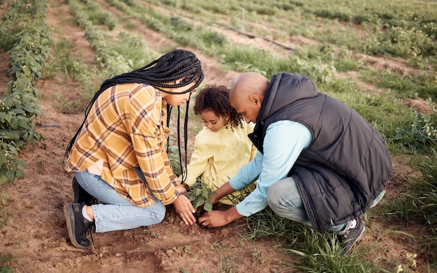 Familienkind bewirtschaften oder im Boden landwirtschaftliches Nachhaltigkeitslernen oder zukünftige Wachstumsplanung von Erdnahrung bewirtschaften Mann, Frau oder Bauernkind und grüne Blattpflanze in der Naturlandschaft