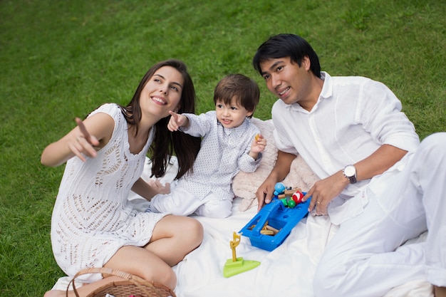 Familienpicknick im Park