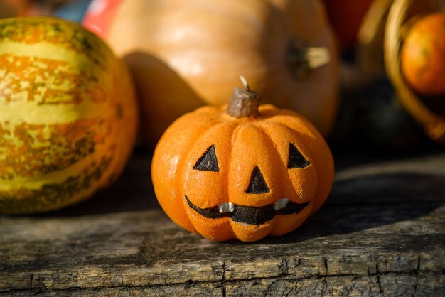 Familienspaß Aktivität geschnitzte Kürbisse in Jackolanterns für Halloween aus nächster Nähe