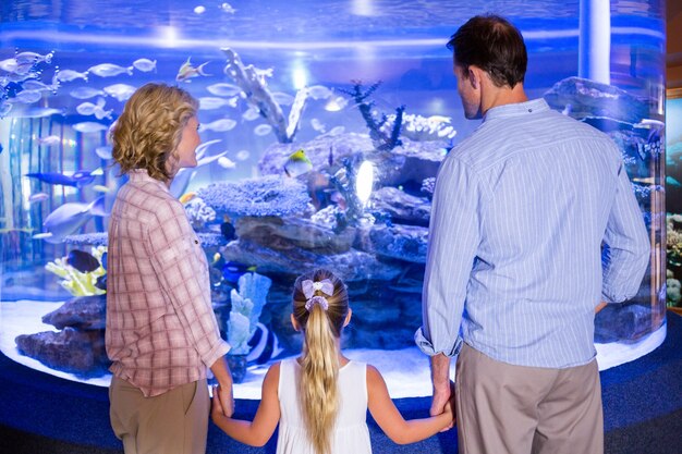 Familly mirando el acuario