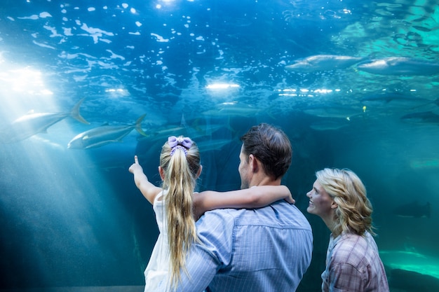 Foto familly olhando o tanque de peixes