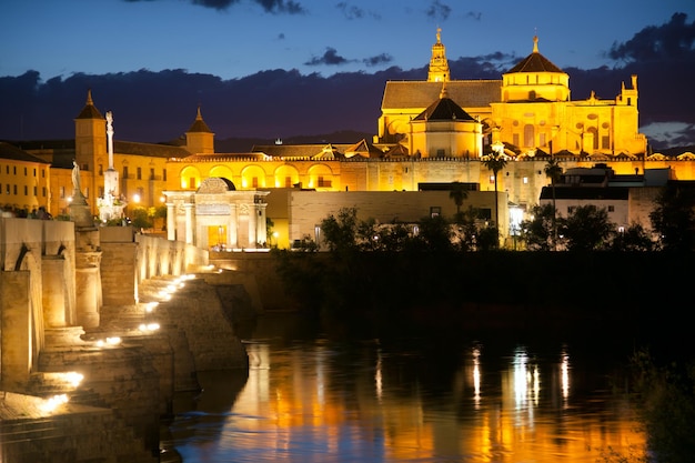 Famos Moschee Mezquita und römische Brücke bei Nacht Spanien Euro