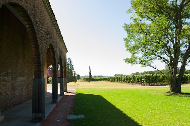 Famosa bodega Bodega Bouza de vinos finos de Uruguay