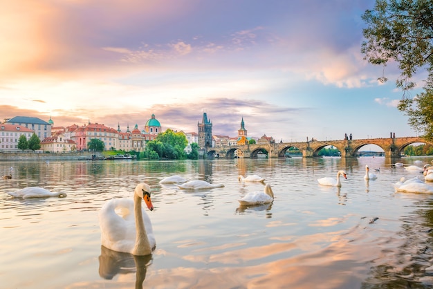 Famosa imagen icónica del puente de Carlos y el horizonte de la ciudad de Praga en República Checa